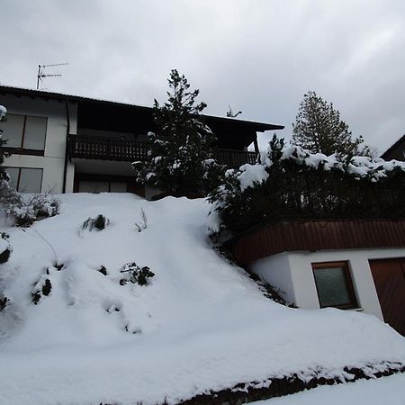 Haus Panorama Mit Alpenblick Βίλα Kleines Wiesental Εξωτερικό φωτογραφία