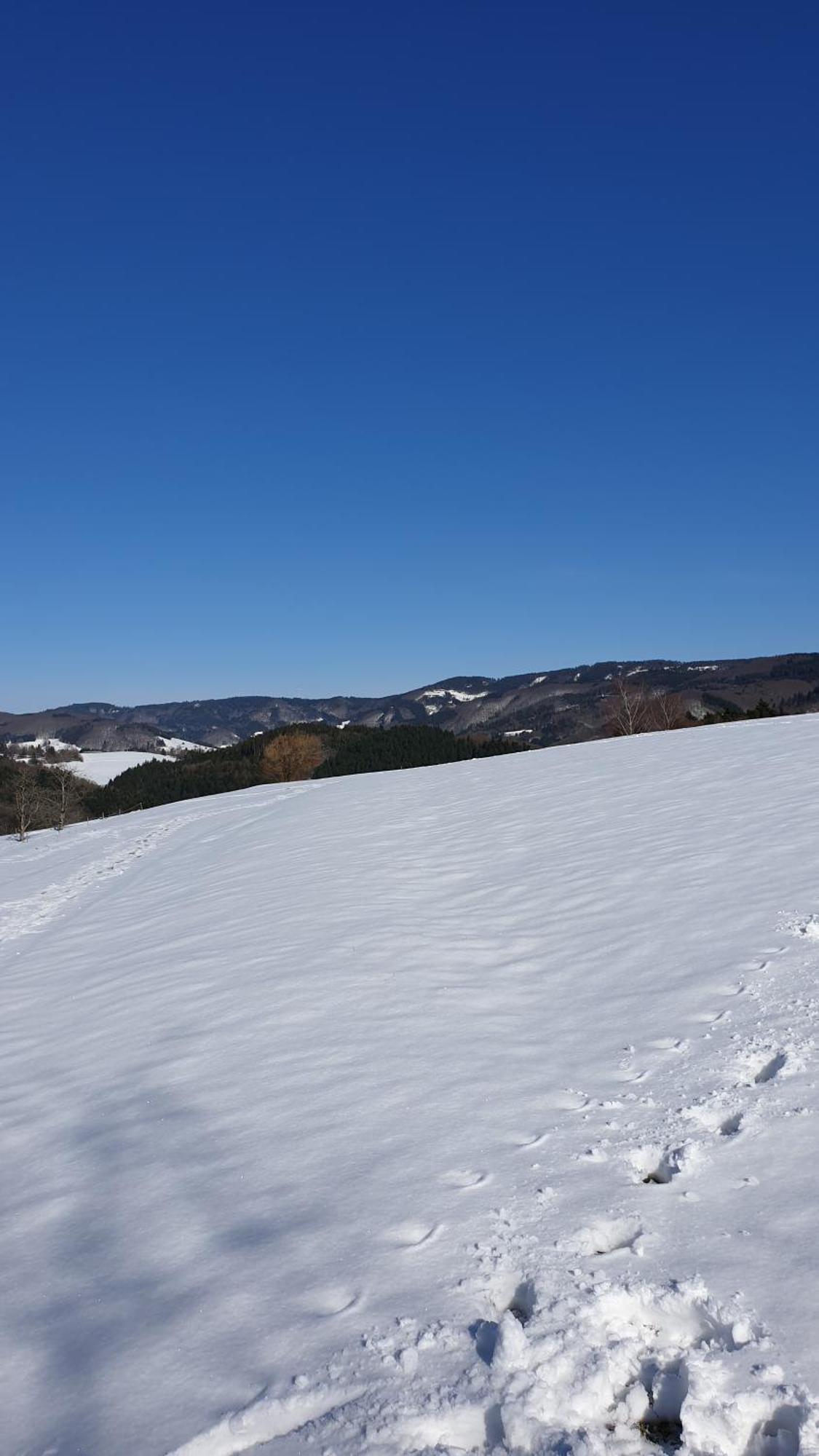 Haus Panorama Mit Alpenblick Βίλα Kleines Wiesental Εξωτερικό φωτογραφία