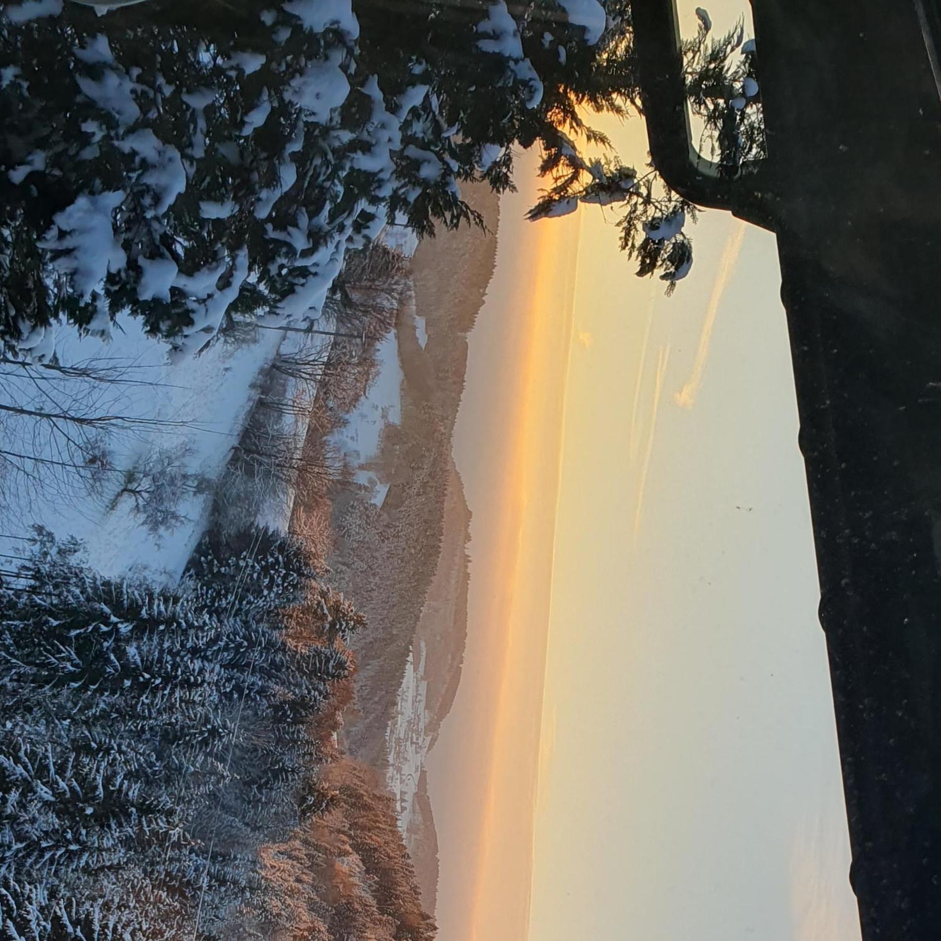 Haus Panorama Mit Alpenblick Βίλα Kleines Wiesental Εξωτερικό φωτογραφία